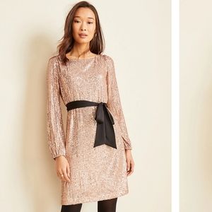 🔥Ann Taylor- Blush Sequin Dress